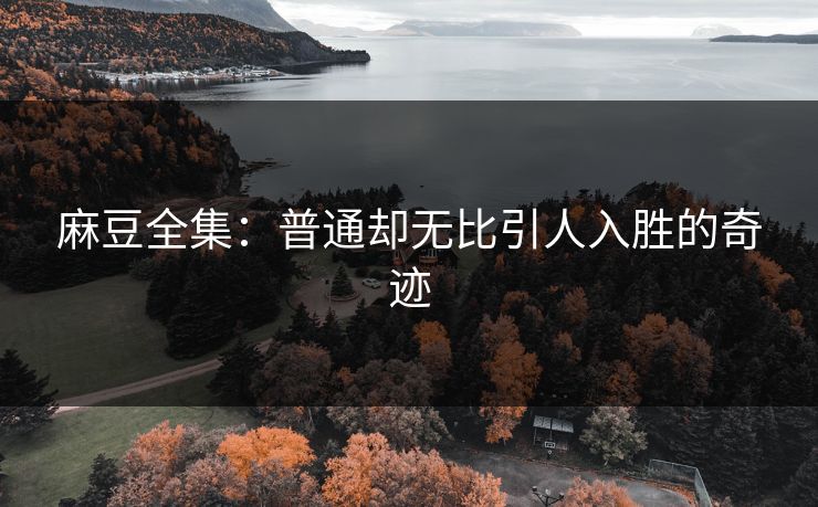 麻豆全集:普通却无比引人入胜的奇迹 麻豆全集:普通却无比引人入胜的奇迹