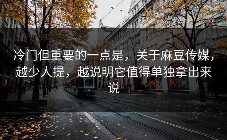 冷门但重要的一点是,关于麻豆传媒,越少人提,越说明它值得单独拿出来说