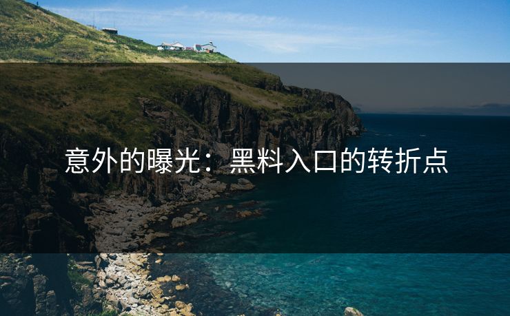 意外的曝光:黑料入口的转折点
